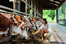 Bio-Hofbäckerei Mauracher GmbH footer image 5